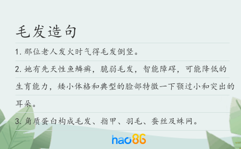 毛发造句