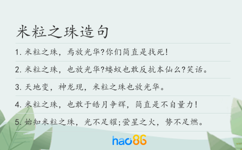 米粒之珠造句