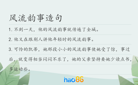 风流韵事造句