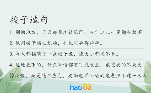 梭子造句