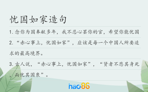忧国如家造句