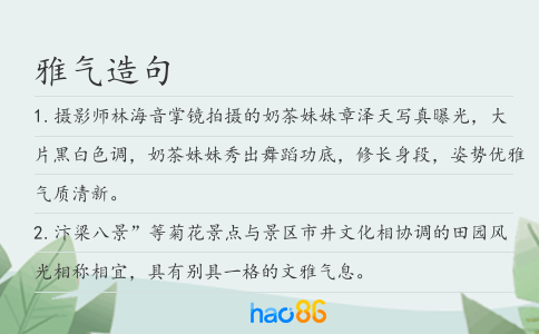 雅气造句