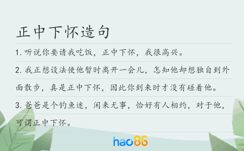正中下怀造句