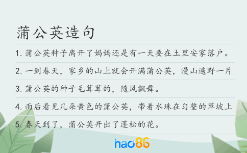 蒲公英造句