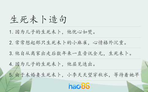 生死未卜造句
