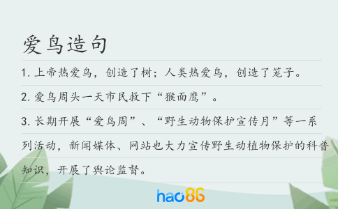 爱鸟造句