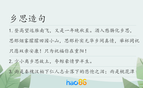 乡思造句