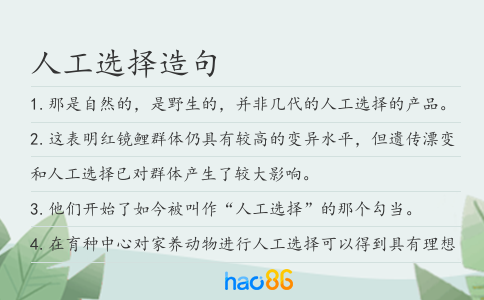 人工选择造句