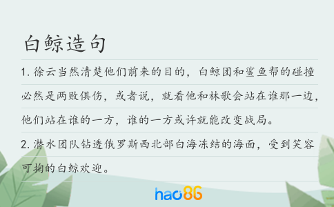 白鲸造句