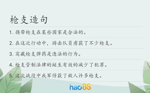 枪支造句