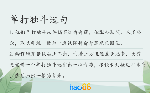 单打独斗造句