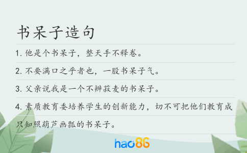 书呆子造句