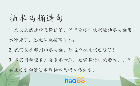 抽水马桶造句