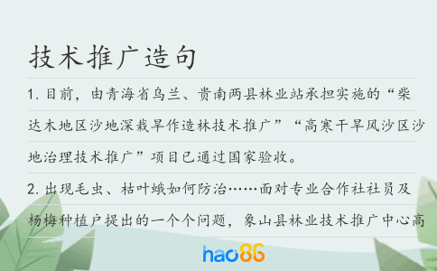 技术推广造句