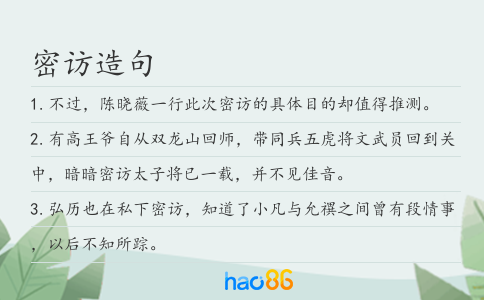 密访造句