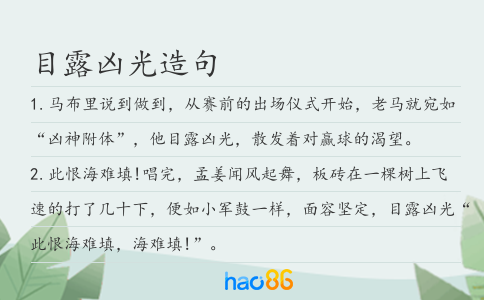 目露凶光造句