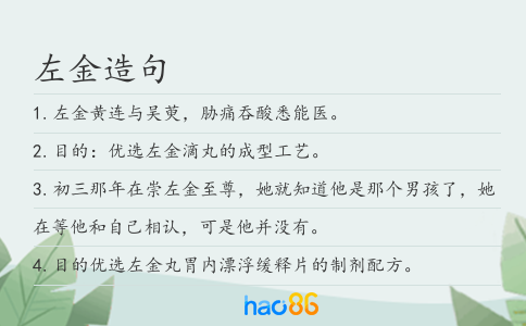 左金造句