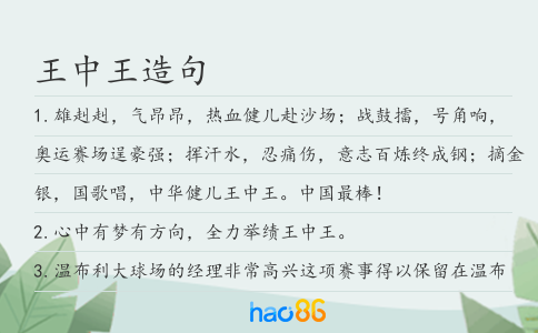 王中王造句