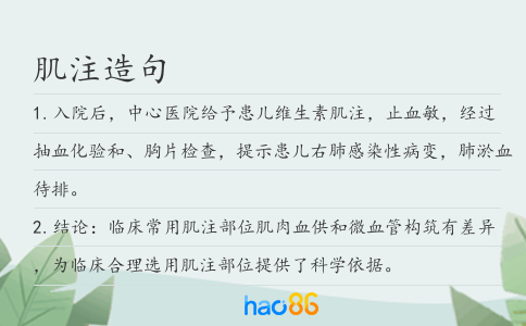 肌注造句