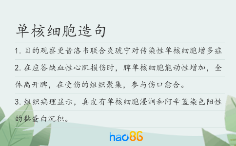 单核细胞造句