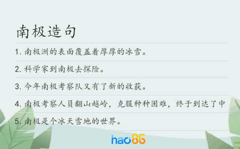 南极造句