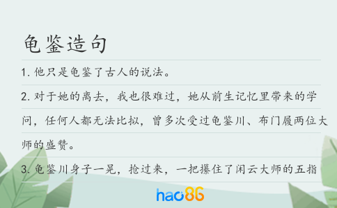龟鉴造句