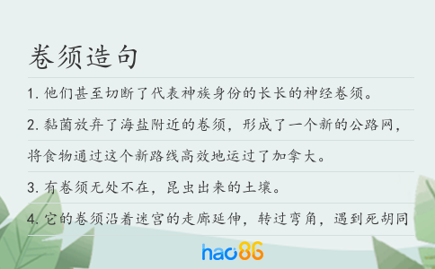 卷须造句