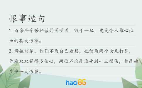 恨事造句