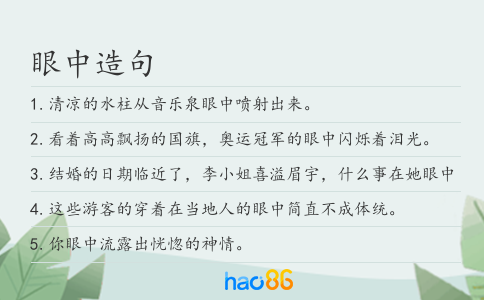 眼中造句