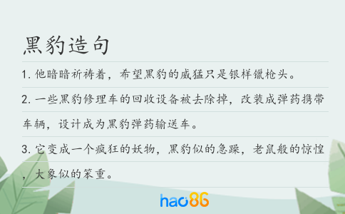 黑豹造句