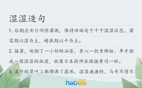 湿湿造句