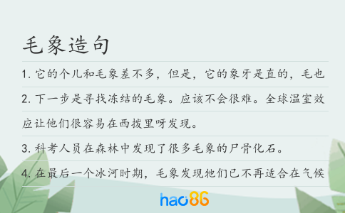 毛象造句
