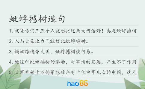 蚍蜉撼树造句