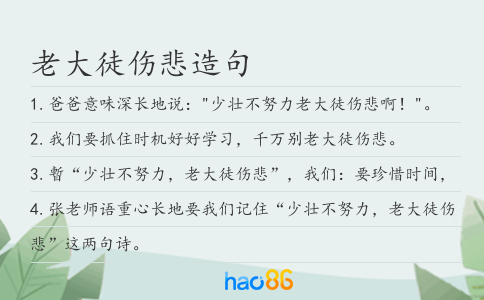 老大徒伤悲造句