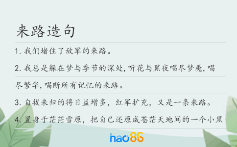 来路造句
