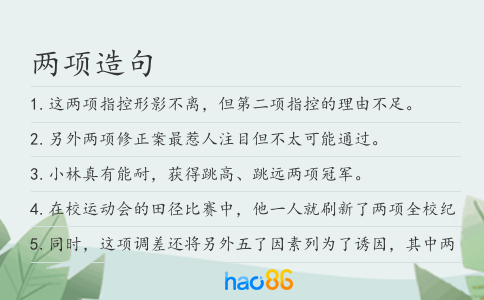 两项造句