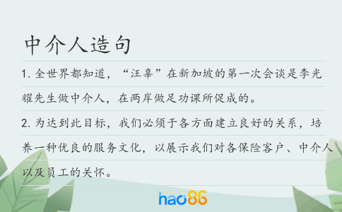 中介人造句