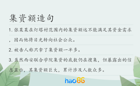 集资额造句