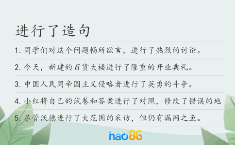 进行了造句