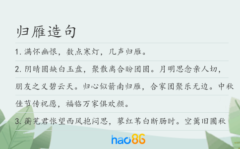 归雁造句