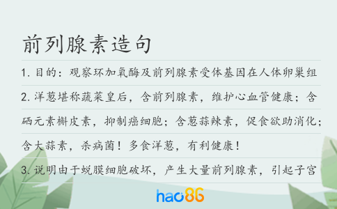 前列腺素造句