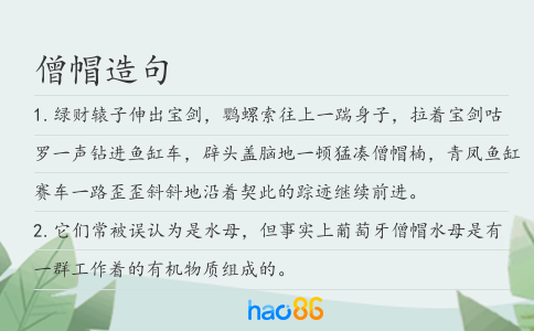 僧帽造句