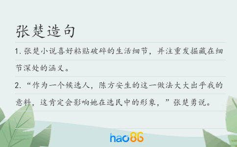 张楚造句