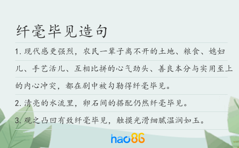 纤毫毕见造句