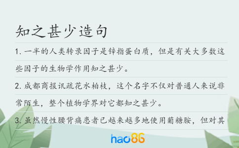 知之甚少造句