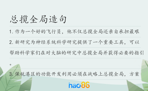 总揽全局造句