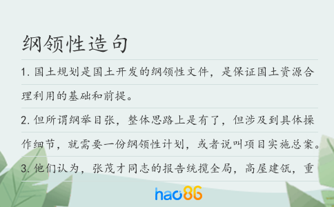 纲领性造句