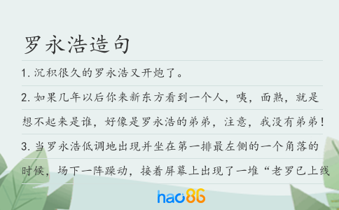 罗永浩造句