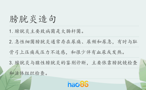 膀胱炎造句