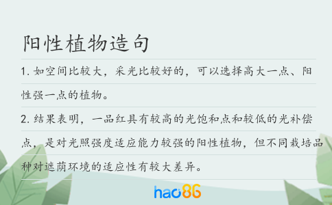 阳性植物造句